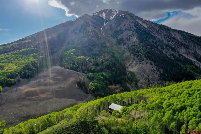 a view of a backyard with plants and a patio