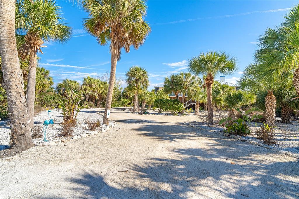 5 Pointe Way Placida, FL 33946 - Photo 2 of 69 a view of a yard with palm trees