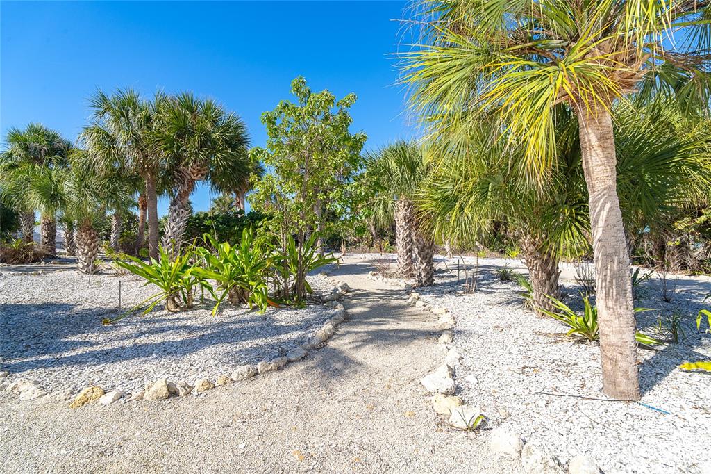 5 Pointe Way Placida, FL 33946 - Photo 46 of 69 a view of backyard with palm trees