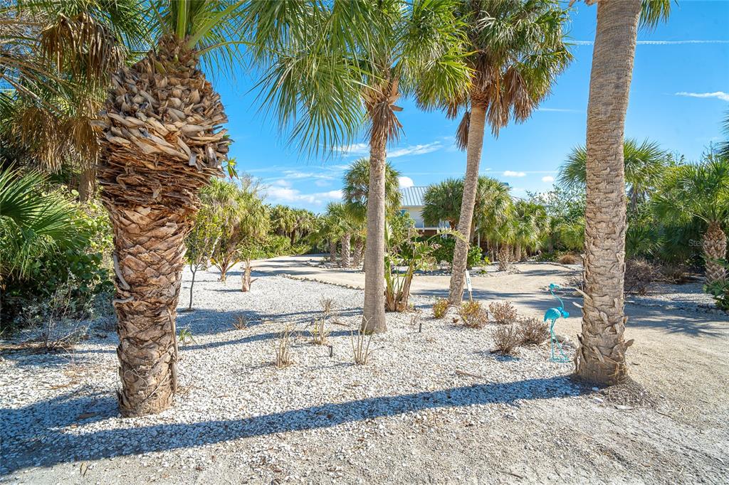 5 Pointe Way Placida, FL 33946 - Photo 47 of 69 a view of a yard with plants