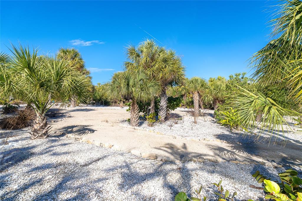 5 Pointe Way Placida, FL 33946 - Photo 48 of 69 a view of a yard with a tree