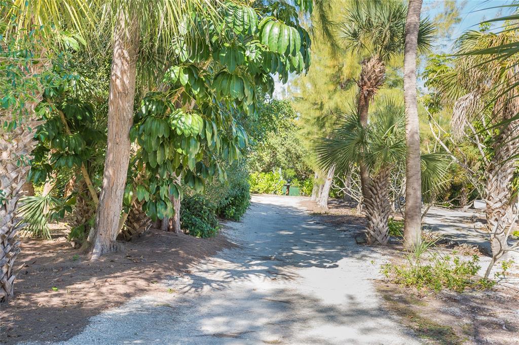5 Pointe Way Placida, FL 33946 - Photo 55 of 69 a view of a yard with plants and trees