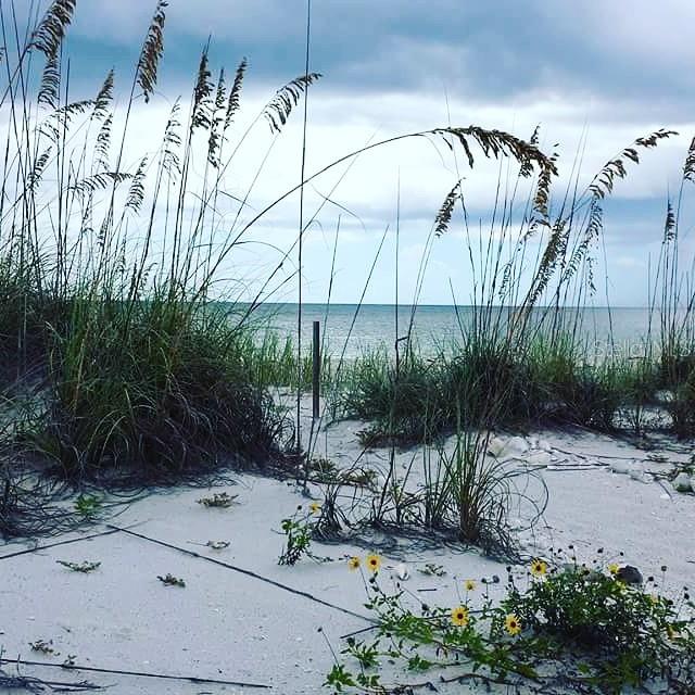 5 Pointe Way Placida, FL 33946 - Photo 61 of 69