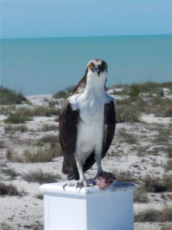 5 Pointe Way Placida, FL 33946 - Photo 66 of 69