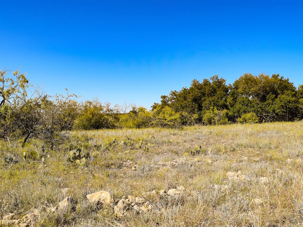 0 County Road 247 Clyde, TX 79510 - Photo 11 of 11 View of local wilderness featuring rural landscape