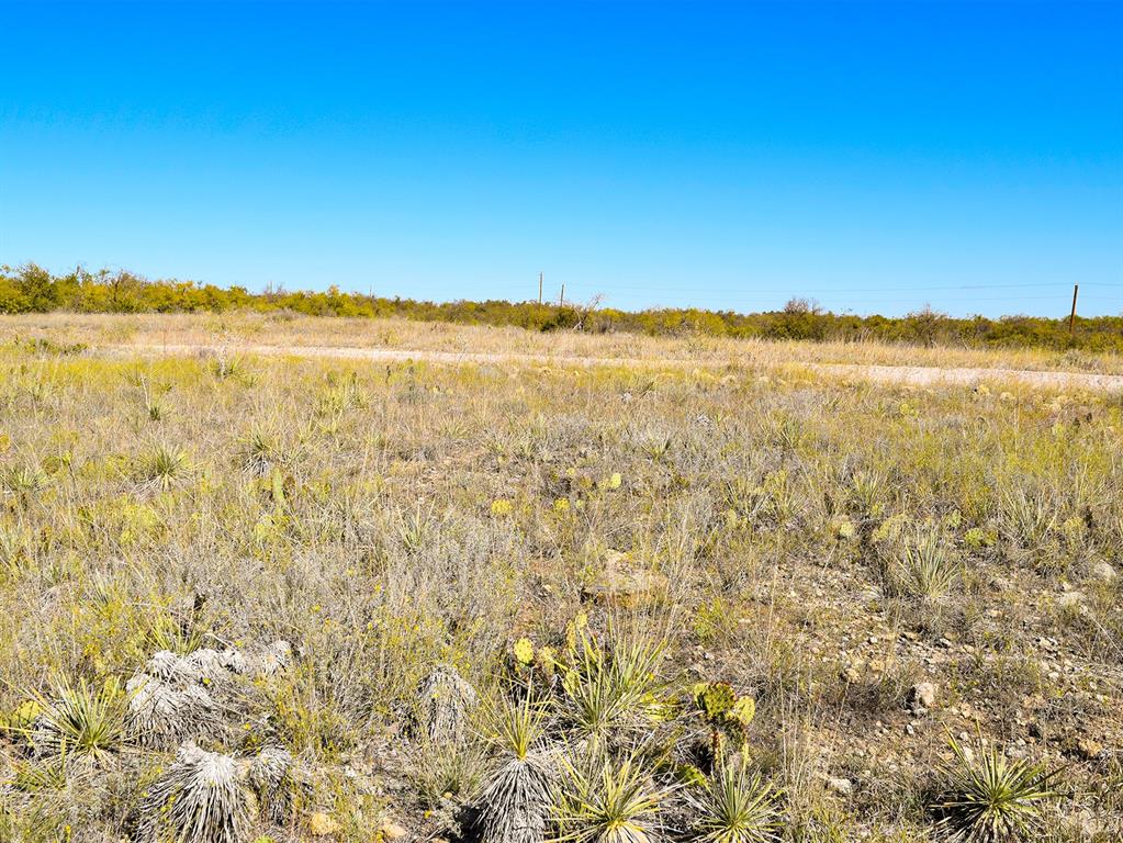 0 County Road 247 Clyde, TX 79510 - Photo 8 of 11 View of local wilderness with rural landscape