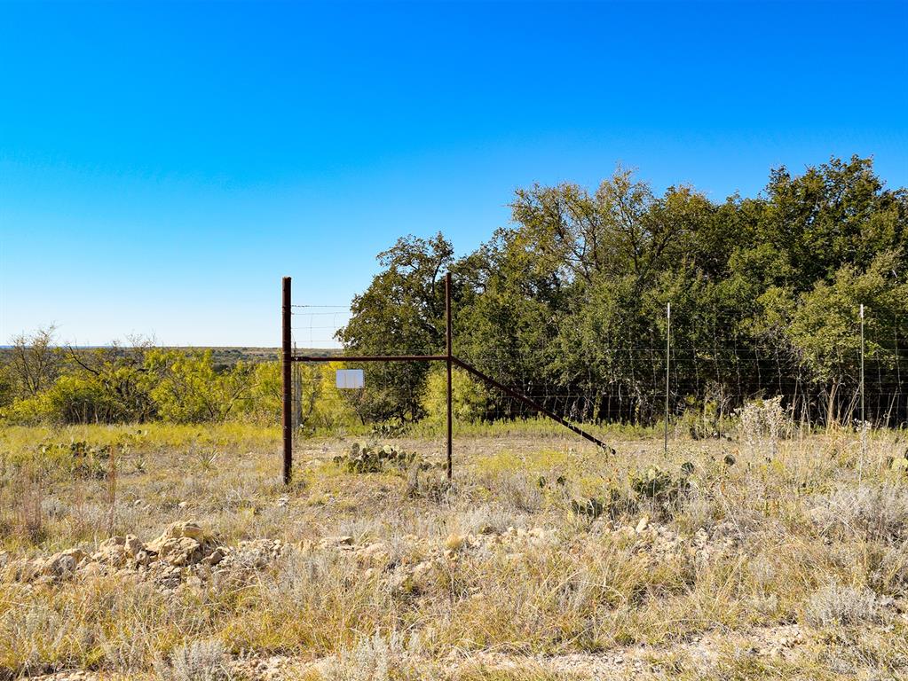 0 County Road 247 Clyde, TX 79510 - Photo 10 of 11 View of nature