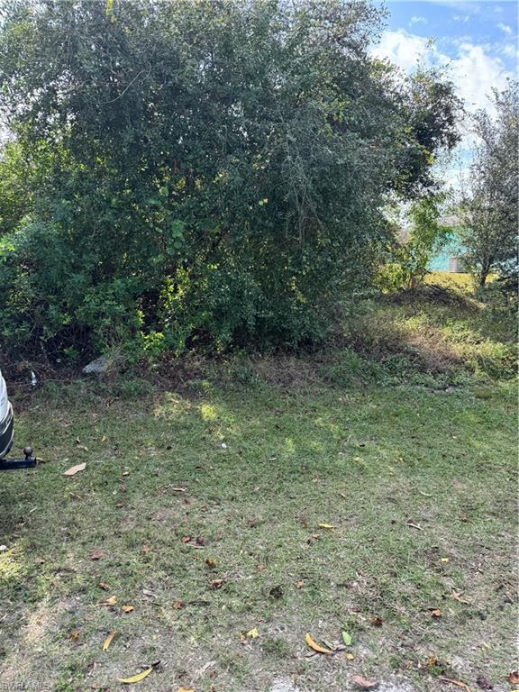 5211 29th Street Southwest Lehigh Acres, FL 33973 - Photo 3 of 5 a view of a forest with trees in the background