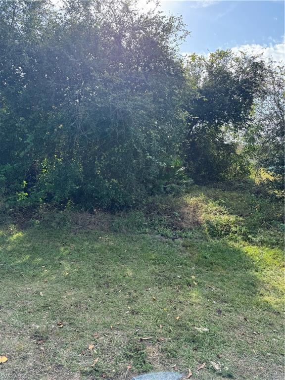 5211 29th Street Southwest Lehigh Acres, FL 33973 - Photo 4 of 5 a view of a yard