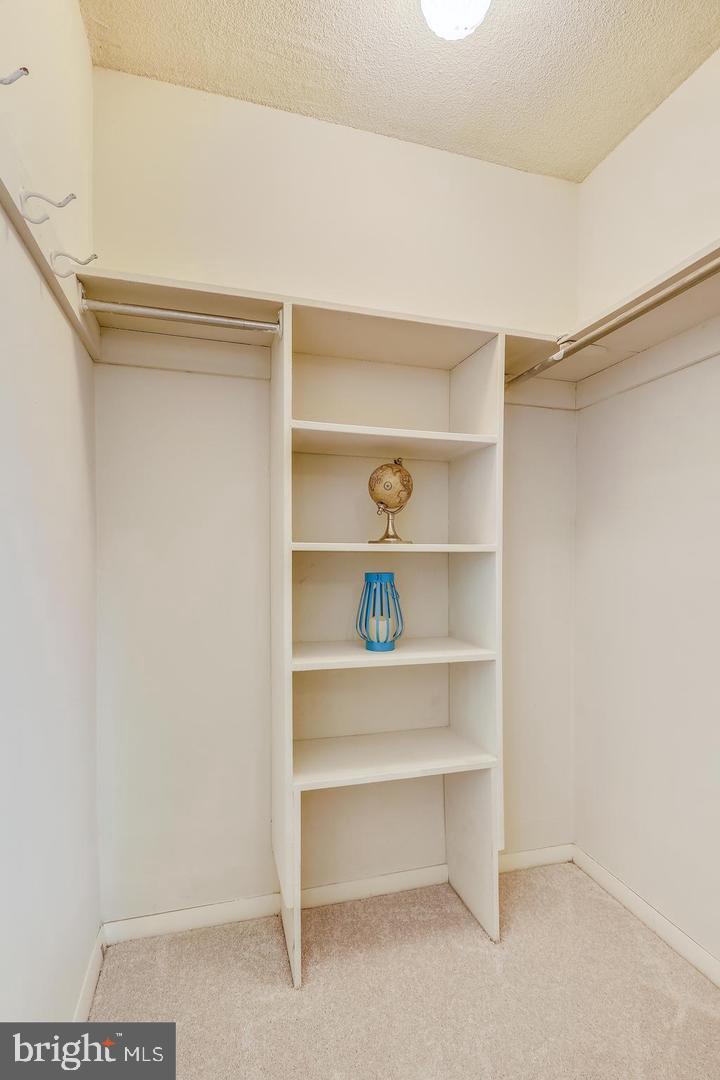 1836 Metzerott Road, Unit T21 Adelphi, MD 20783 - Photo 22 of 32 Walk In Closet