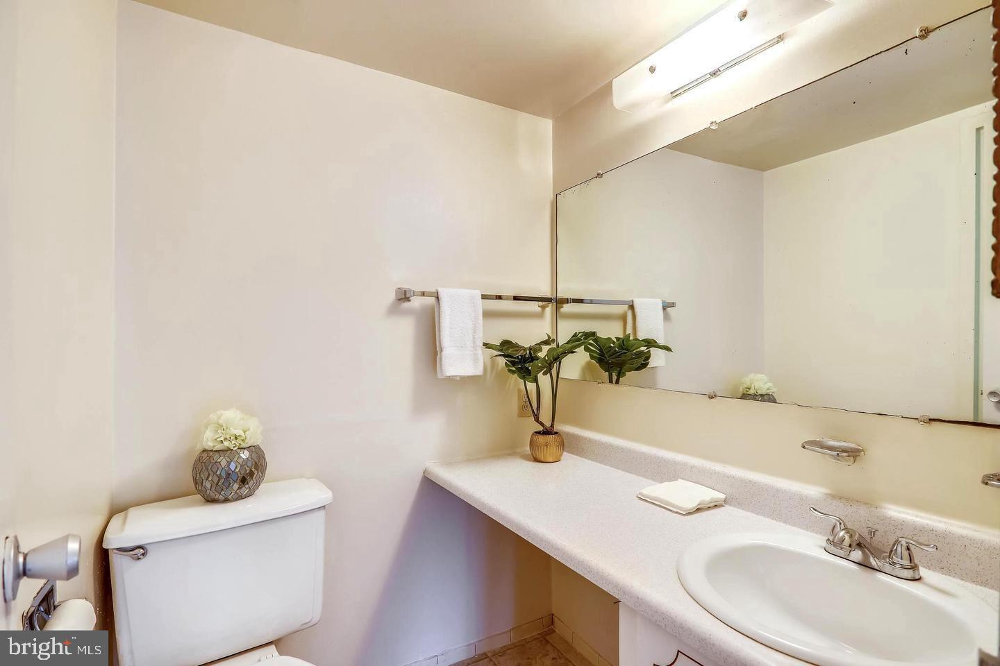 1836 Metzerott Road, Unit T21 Adelphi, MD 20783 - Photo 24 of 32 Bathroom