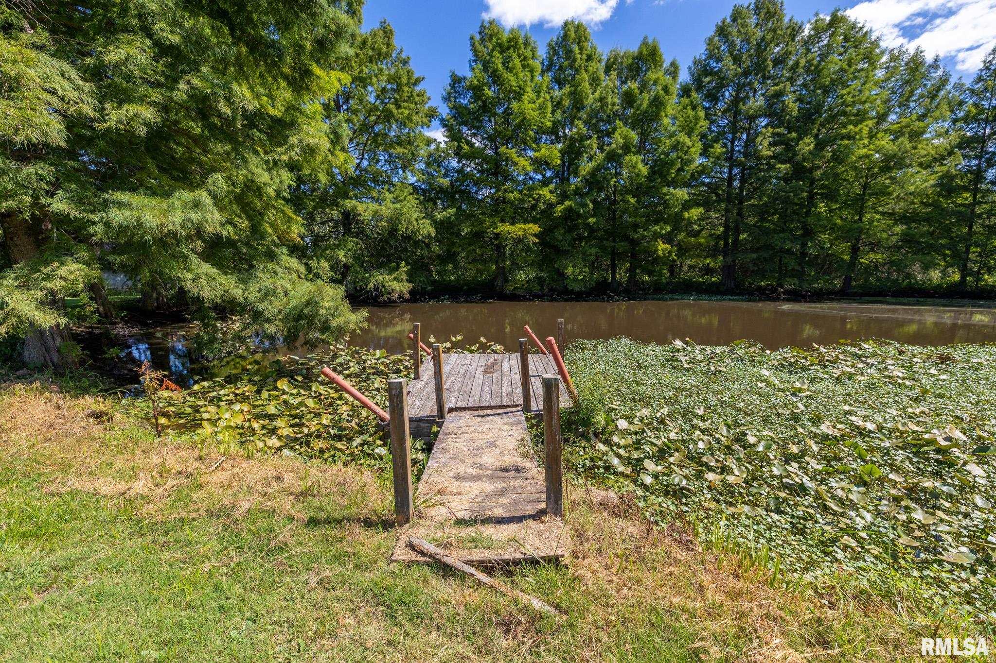 575 Wildcat Bluff Road Vienna, IL 62995 - Photo 44 of 60