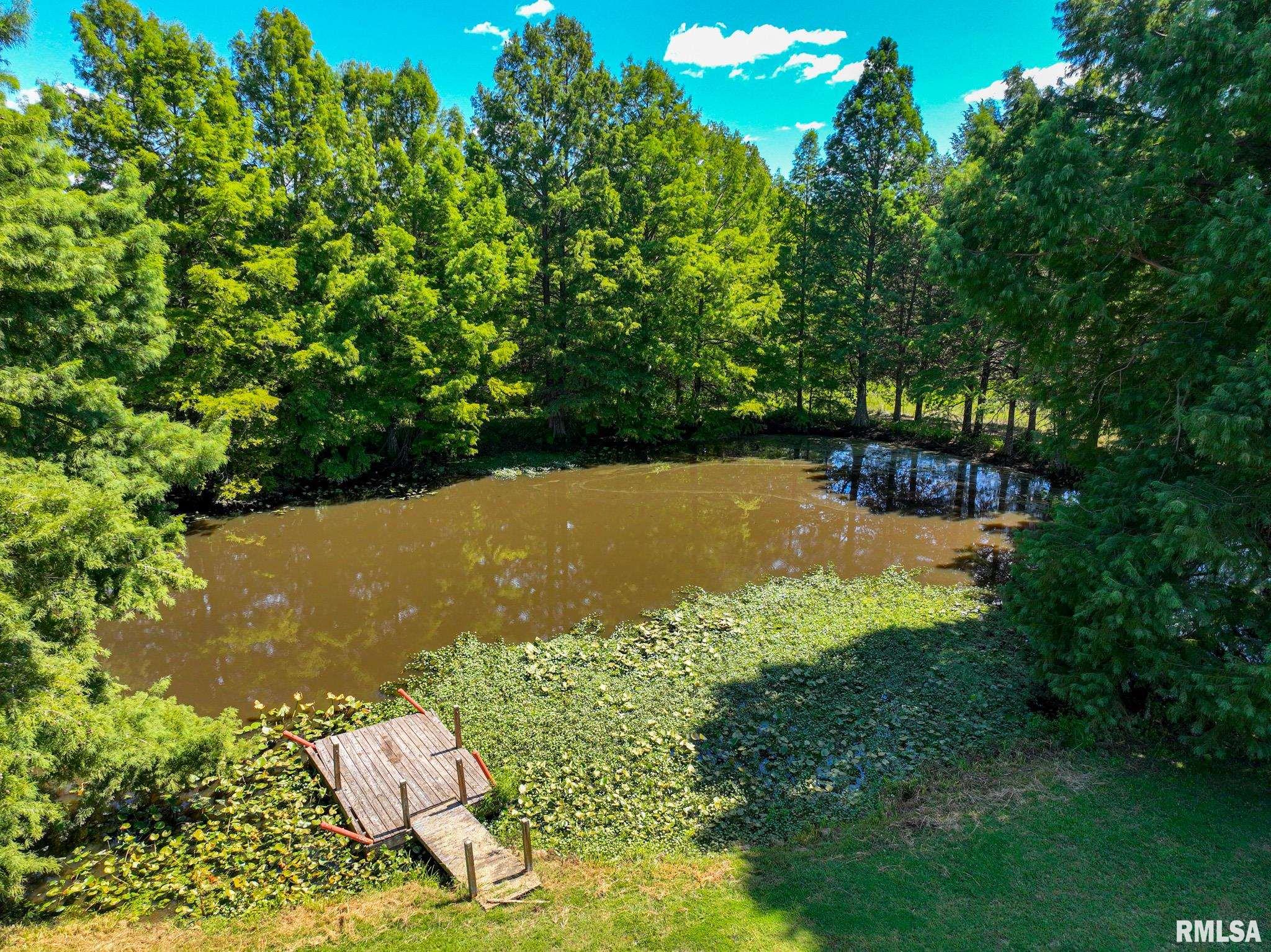 575 Wildcat Bluff Road Vienna, IL 62995 - Photo 45 of 60