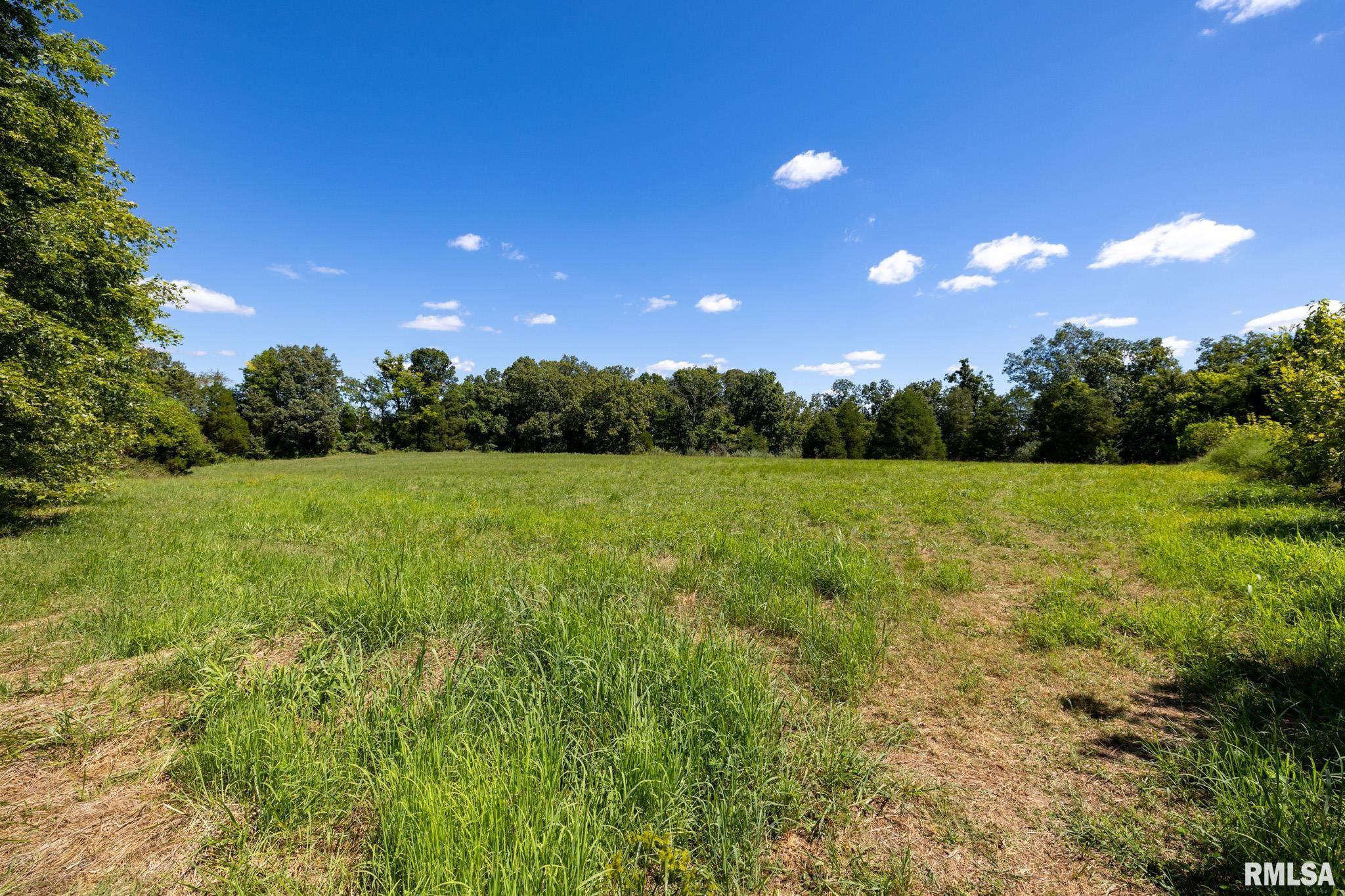 575 Wildcat Bluff Road Vienna, IL 62995 - Photo 51 of 60