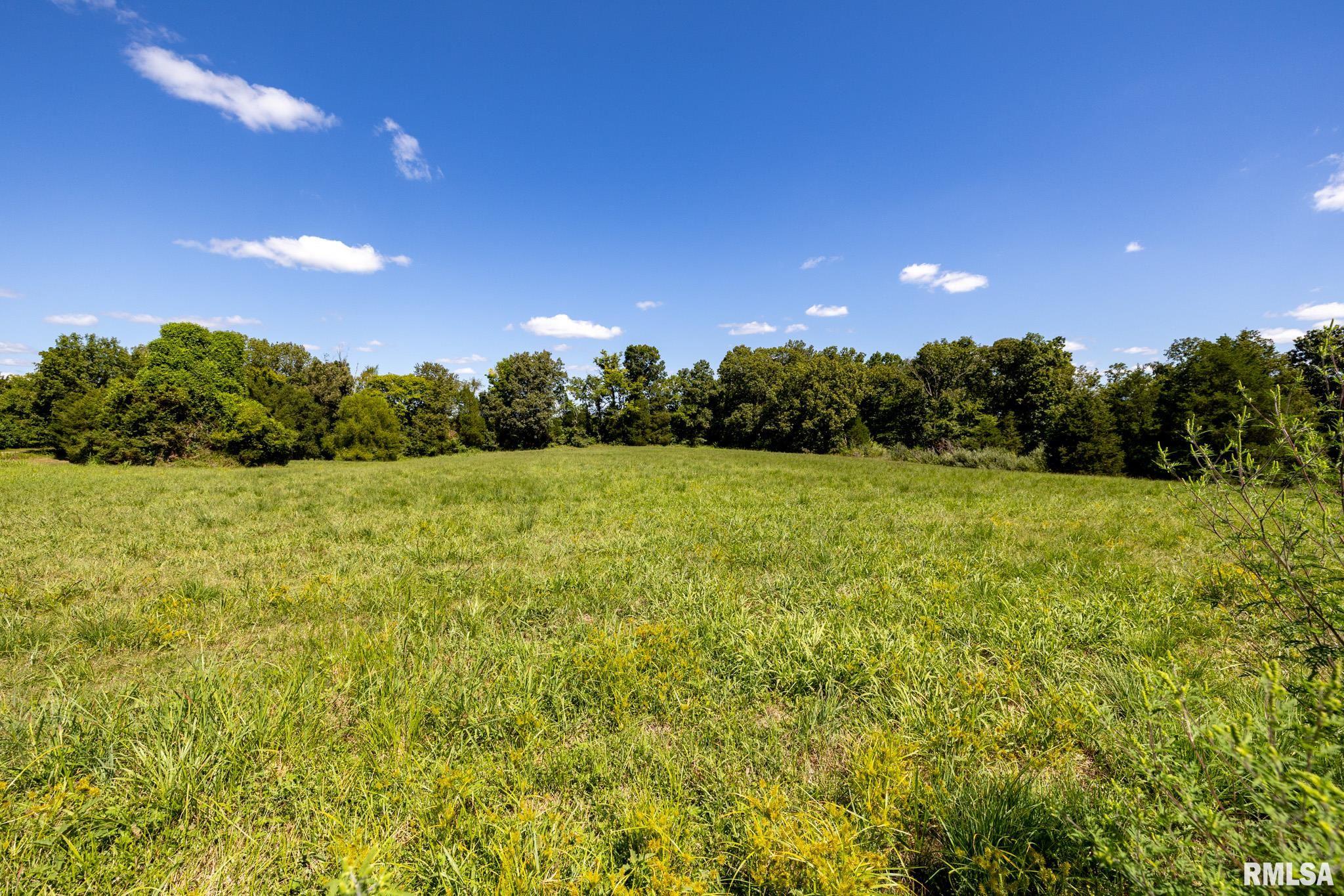 575 Wildcat Bluff Road Vienna, IL 62995 - Photo 52 of 60