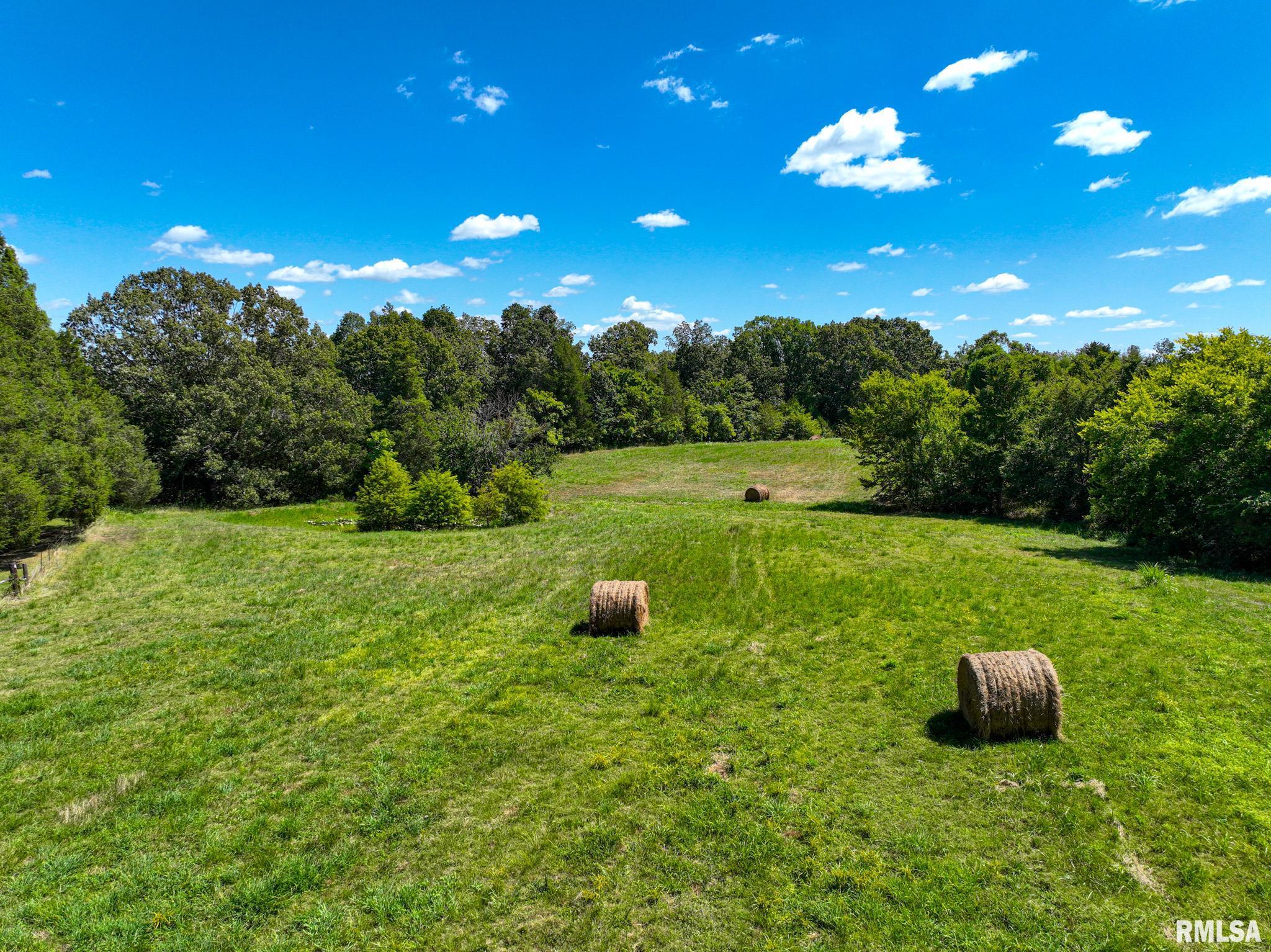 575 Wildcat Bluff Road Vienna, IL 62995 - Photo 55 of 60