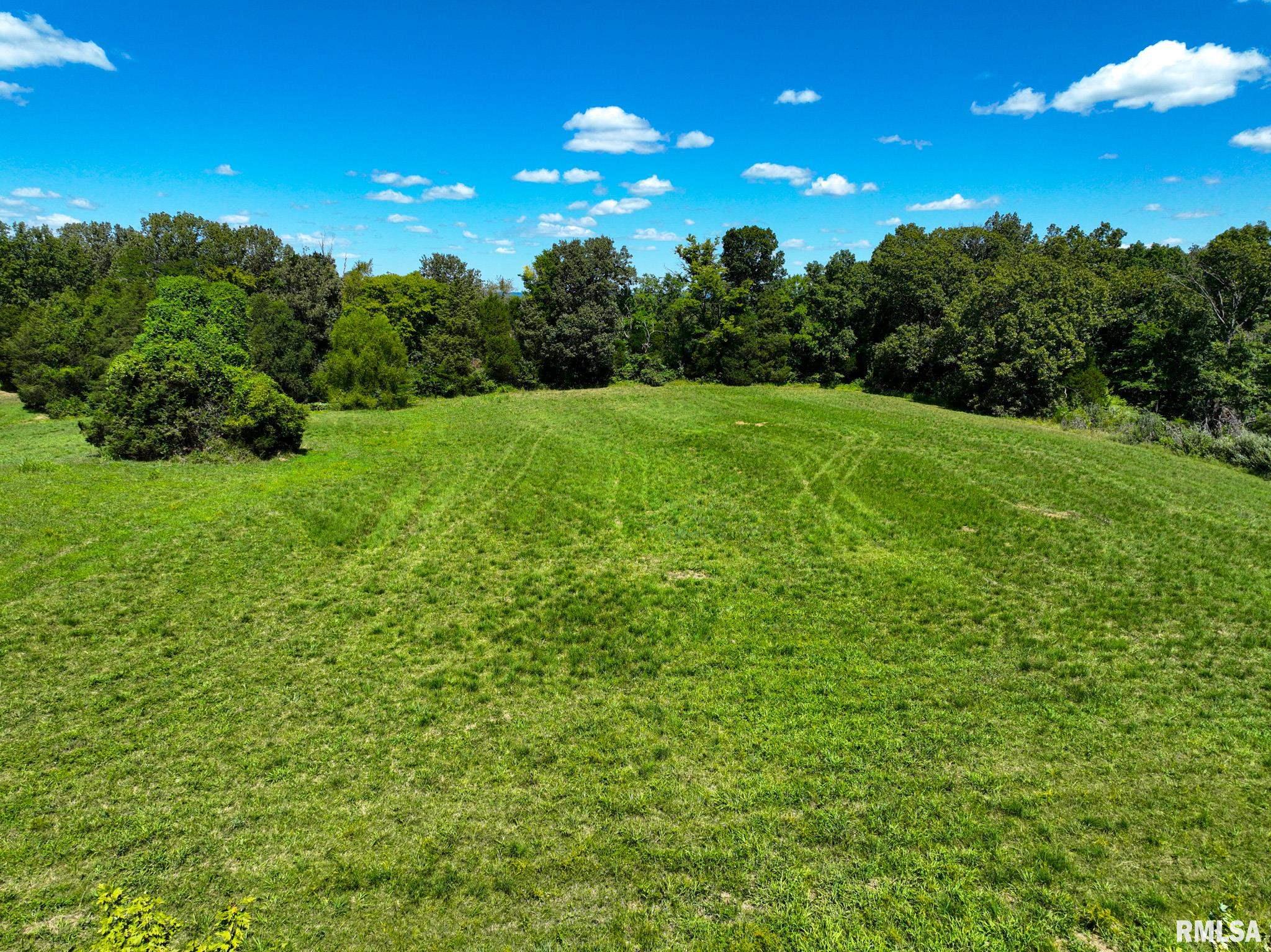 575 Wildcat Bluff Road Vienna, IL 62995 - Photo 56 of 60