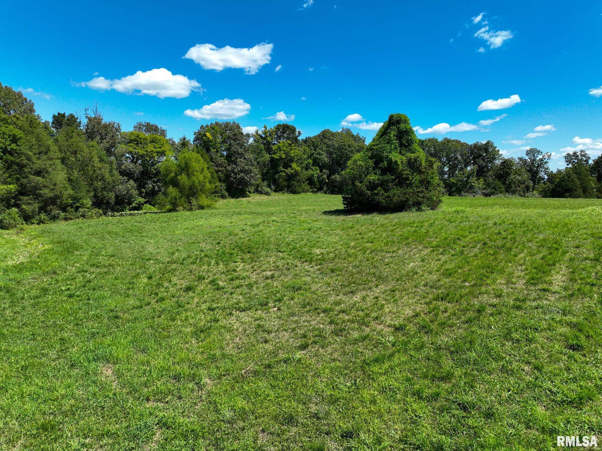 575 Wildcat Bluff Road Vienna, IL 62995 - Photo 57 of 60