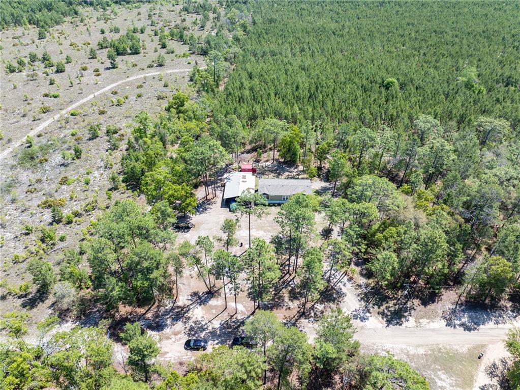 221 Magnolia Road Hawthorne, FL 32640 - Photo 19 of 41
