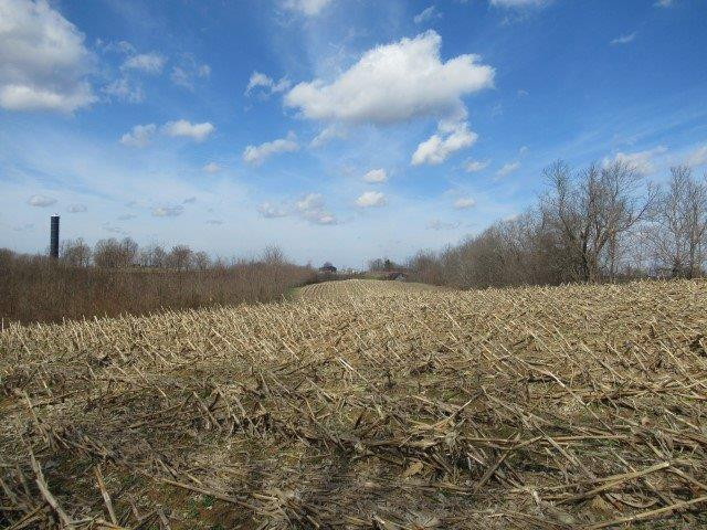 7052 Buckeye Road Lancaster, KY 40444 - Photo 6 of 11 Photo 6