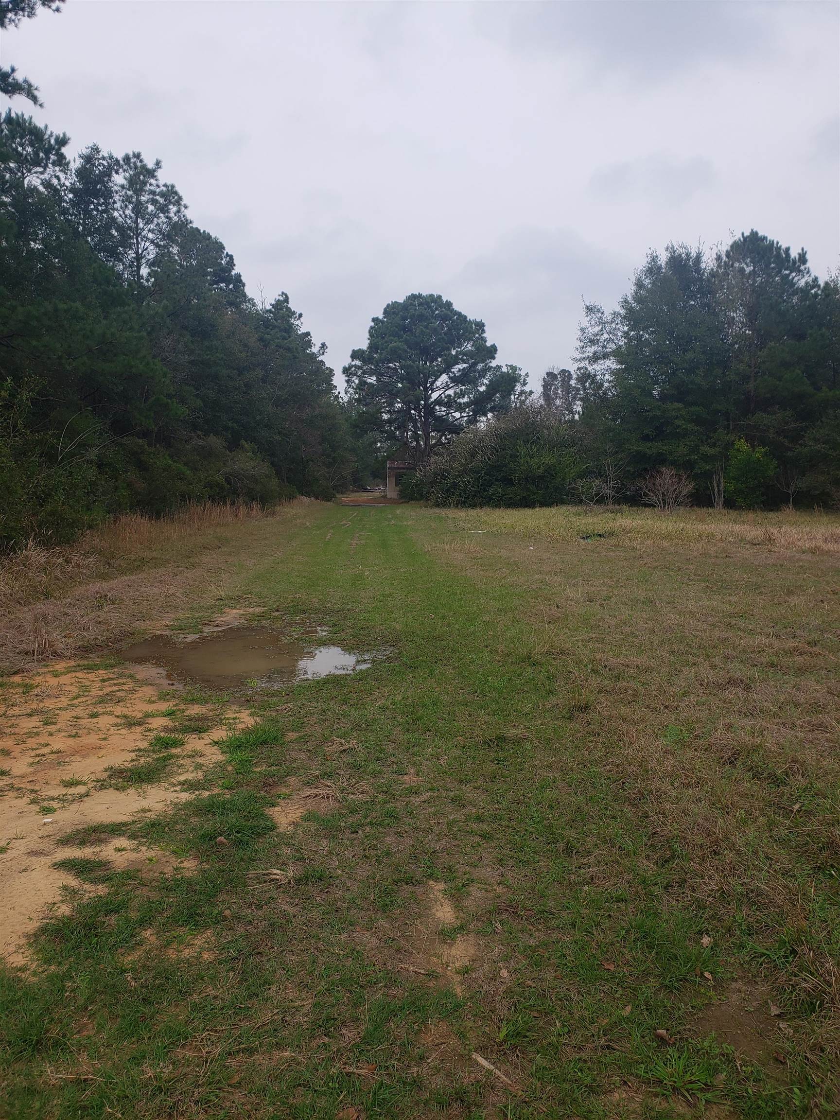 24751 South Rolling Green Road Elberta, AL 36530 - Photo 1 of 1