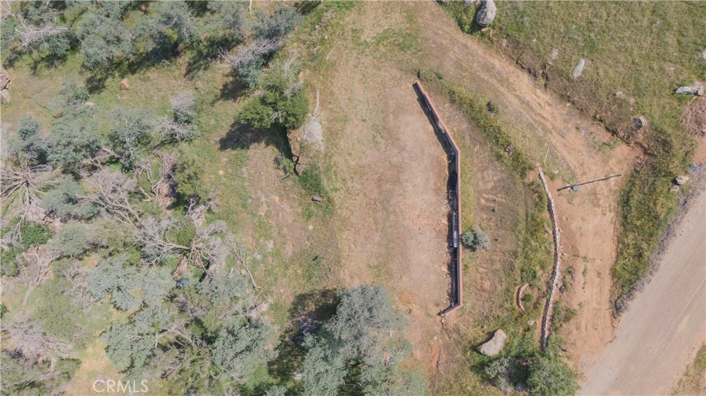 0 Totem Lane Squaw Valley, CA 93675 - Photo 12 of 33 a view of a forest