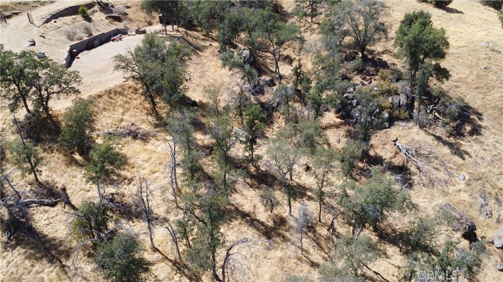 0 Totem Lane Squaw Valley, CA 93675 - Photo 13 of 33 a view of a tree in a yard
