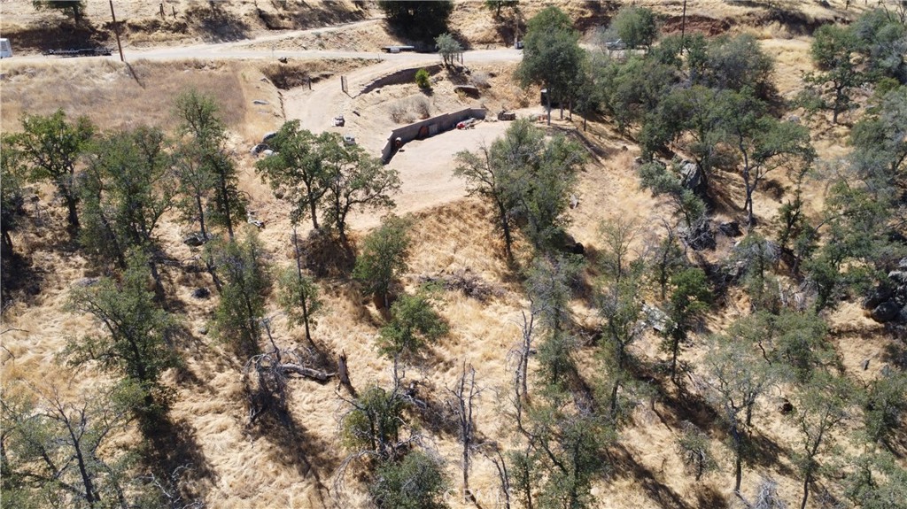 0 Totem Lane Squaw Valley, CA 93675 - Photo 16 of 33 a view of a forest with a tree