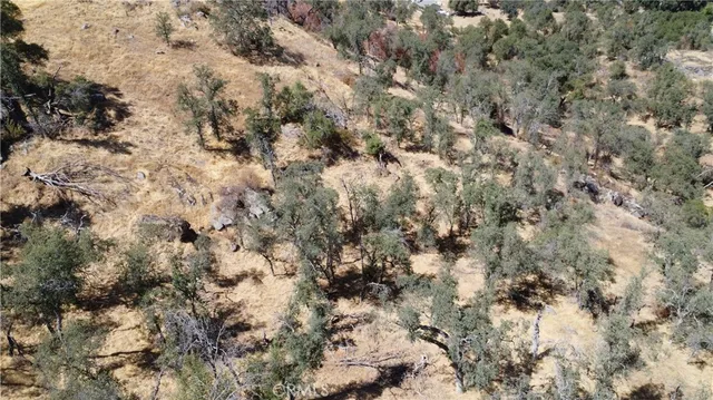 a view of outdoor space with trees