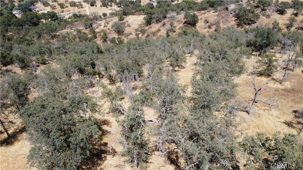 0 Totem Lane Squaw Valley, CA 93675 - Photo 20 of 33 a view of a covered with green space