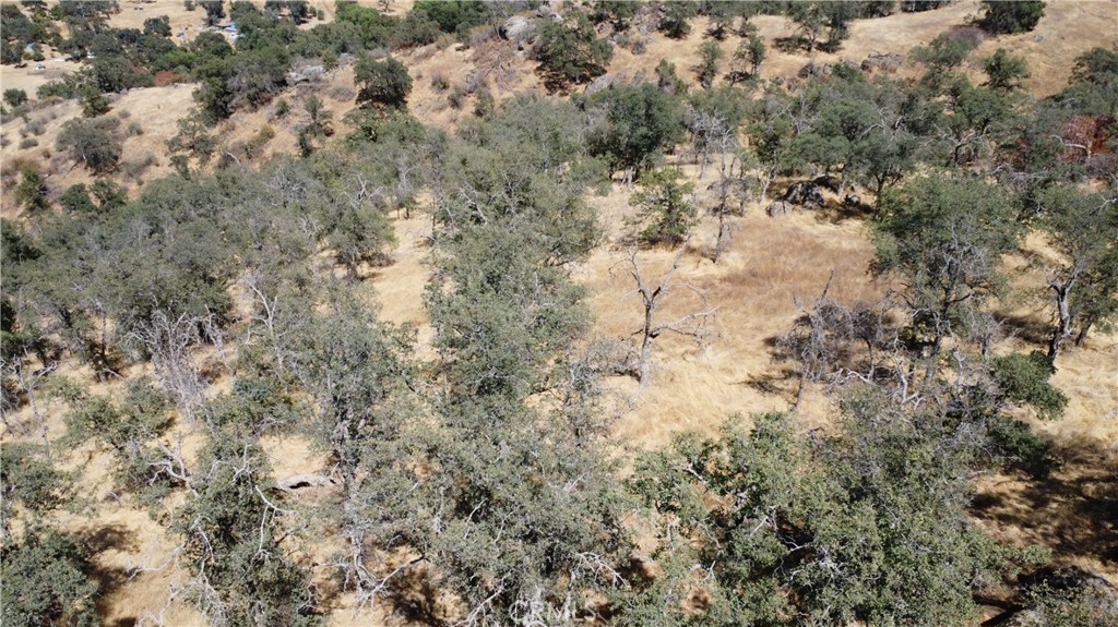 0 Totem Lane Squaw Valley, CA 93675 - Photo 21 of 33 a view of a covered with lots of trees