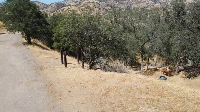 a view of a dry yard and mountain