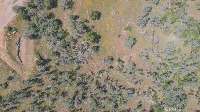 a view of a dry yard