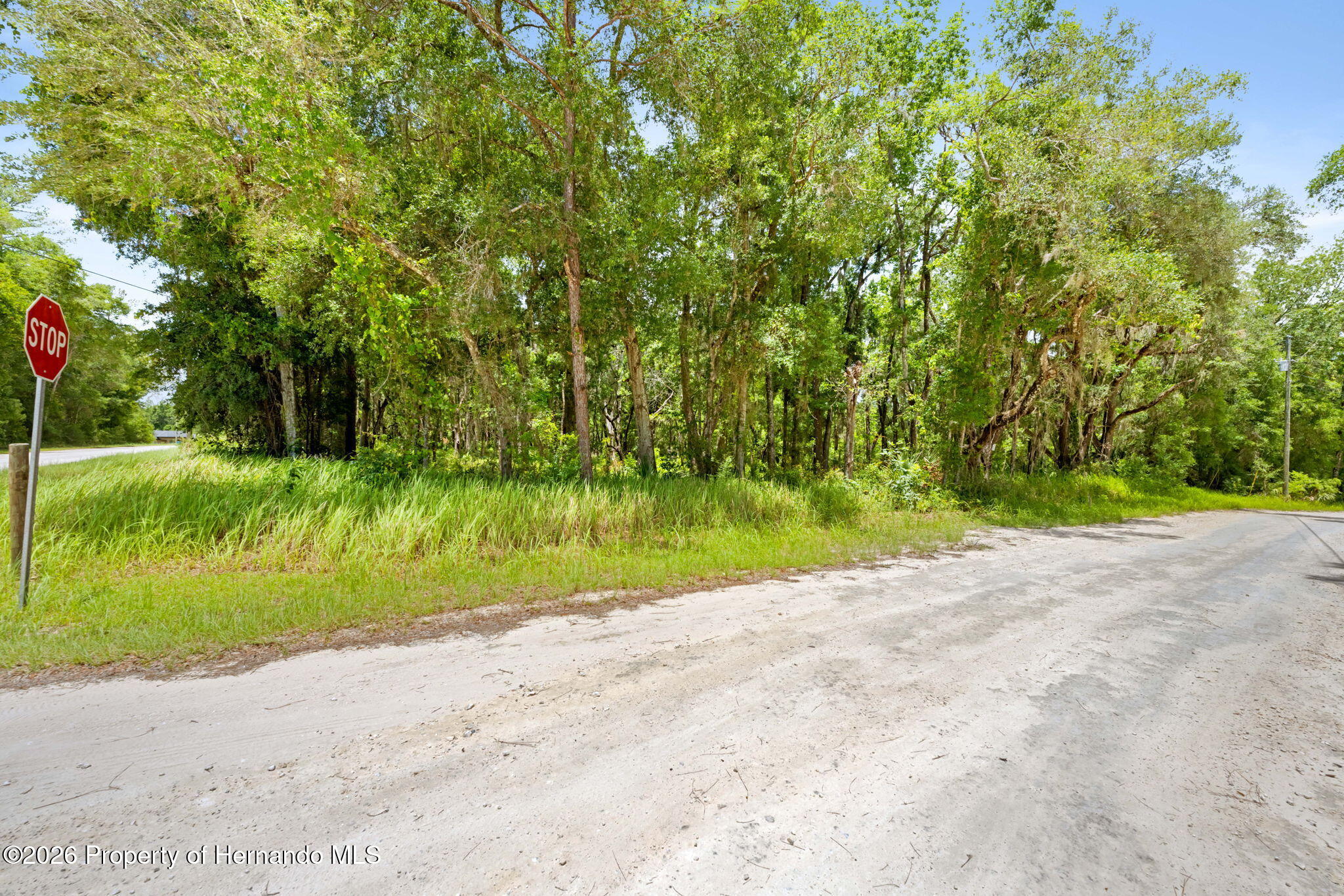 0 Ricebird Avenue Weeki Wachee, FL 34614 - Photo 26 of 26
