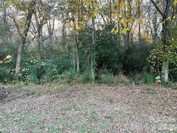 a view of a yard