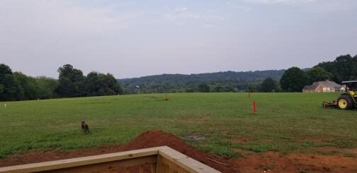 1120 Oak Level Road Stanleytown, VA 24168 - Photo 6 of 24 View