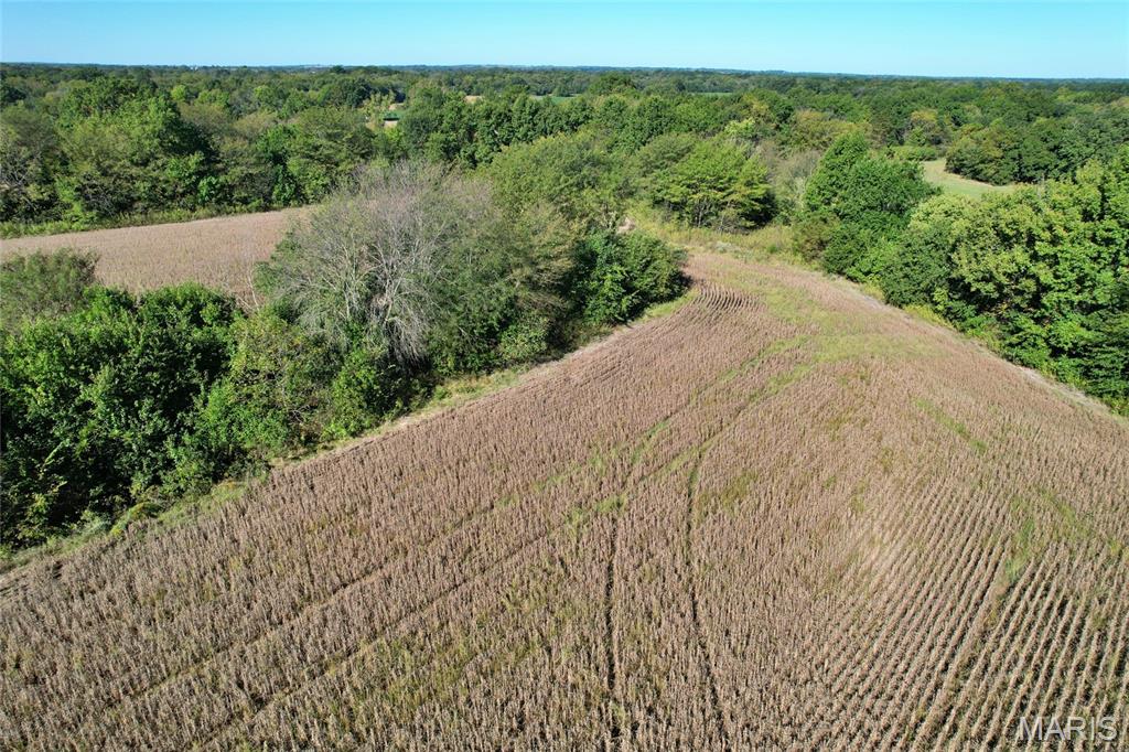 0 Wood Road La Monte, MO 65337 - Photo 7 of 12 Gallery Image 7