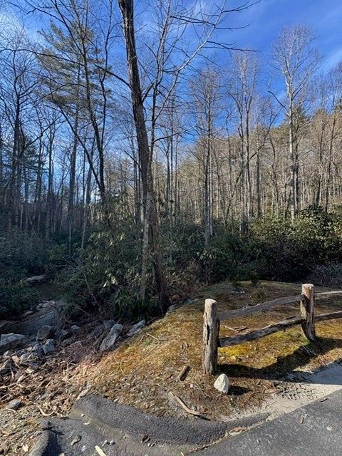 7 Wandering Ridge Cashiers, NC 28717 - Photo 5 of 14 Gallery Image 5