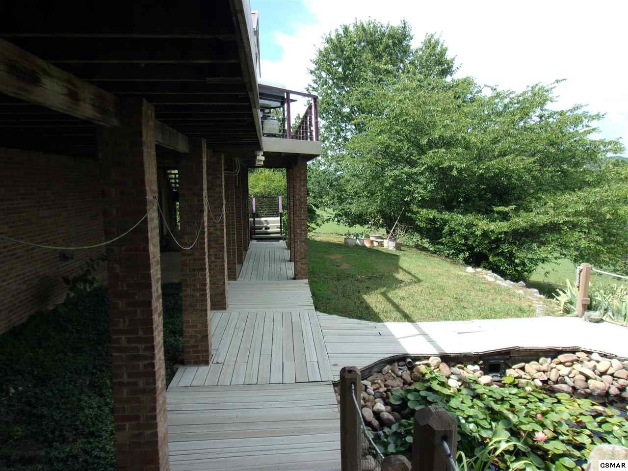 984 Harrison Ferry Road White Pine, TN 37890 - Photo 5 of 36 Gallery Image 5