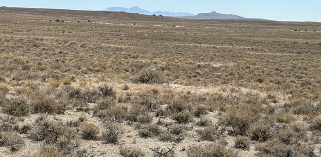 1 Emigrant Trl Road Park Valley, UT 84329 - Photo 33 of 39