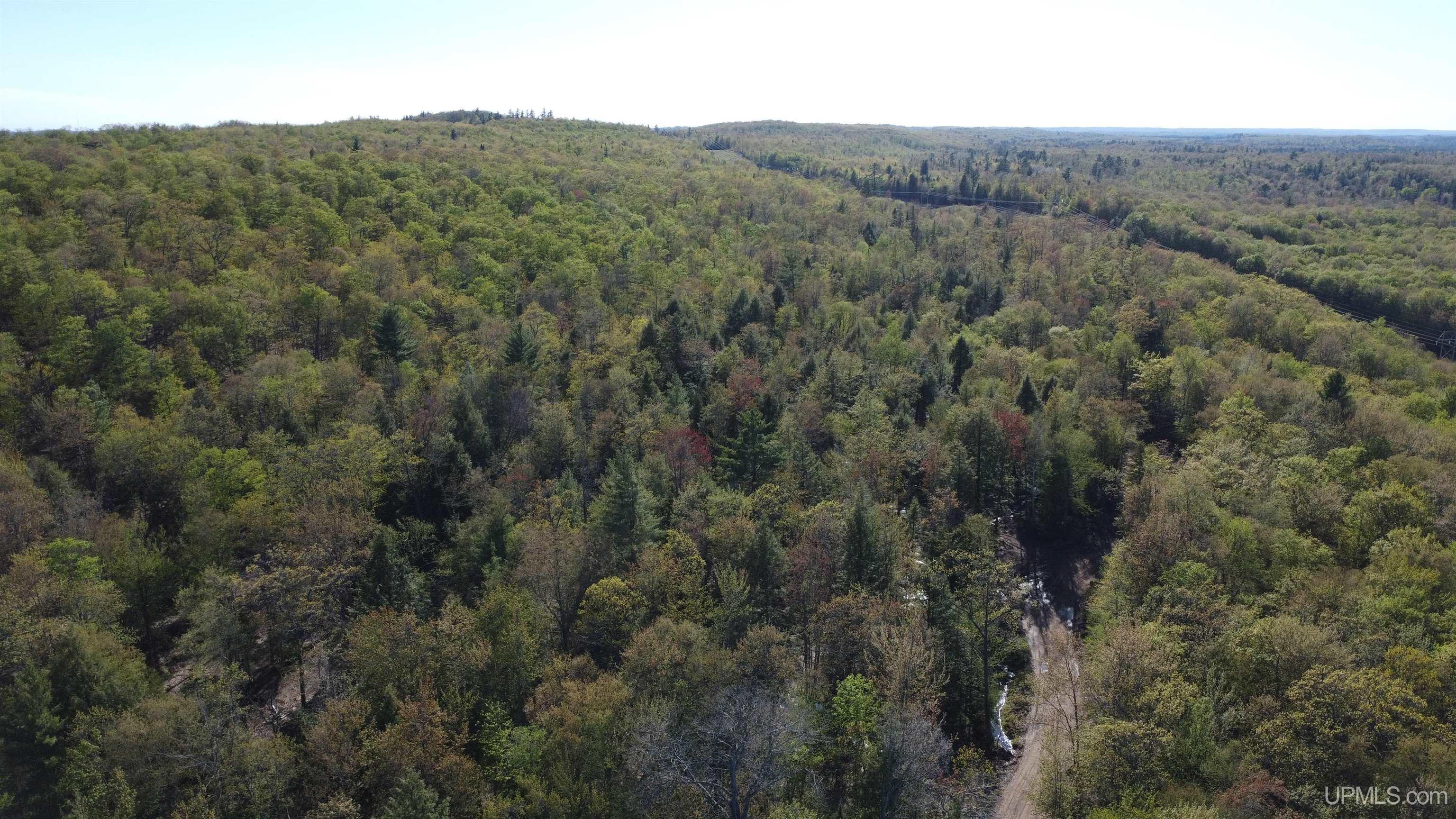 Off Off Hoist Road Negaunee, MI 49866 - Photo 9 of 45