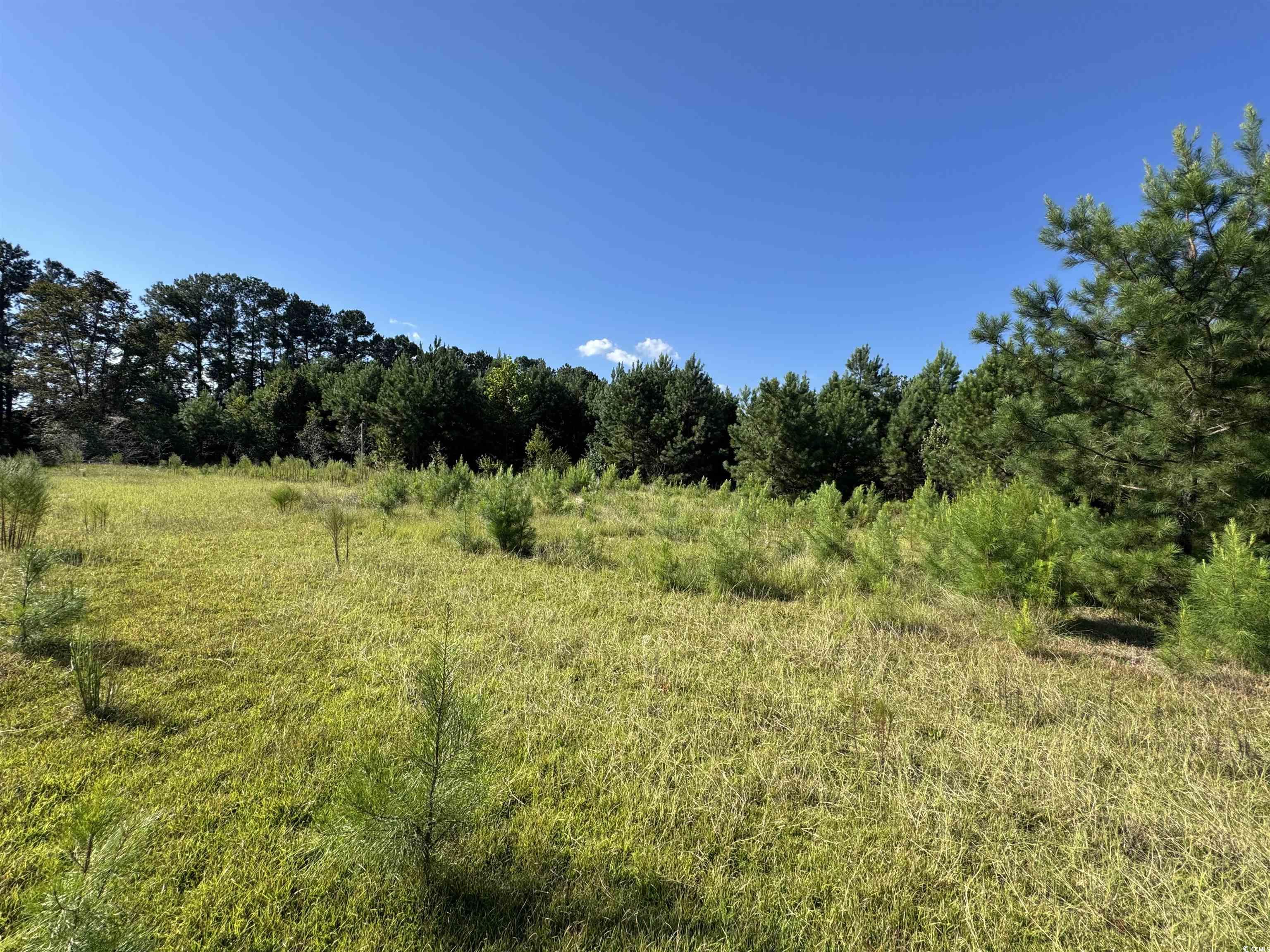 1212 Nursery Road Loris, SC 29569 - Photo 11 of 18