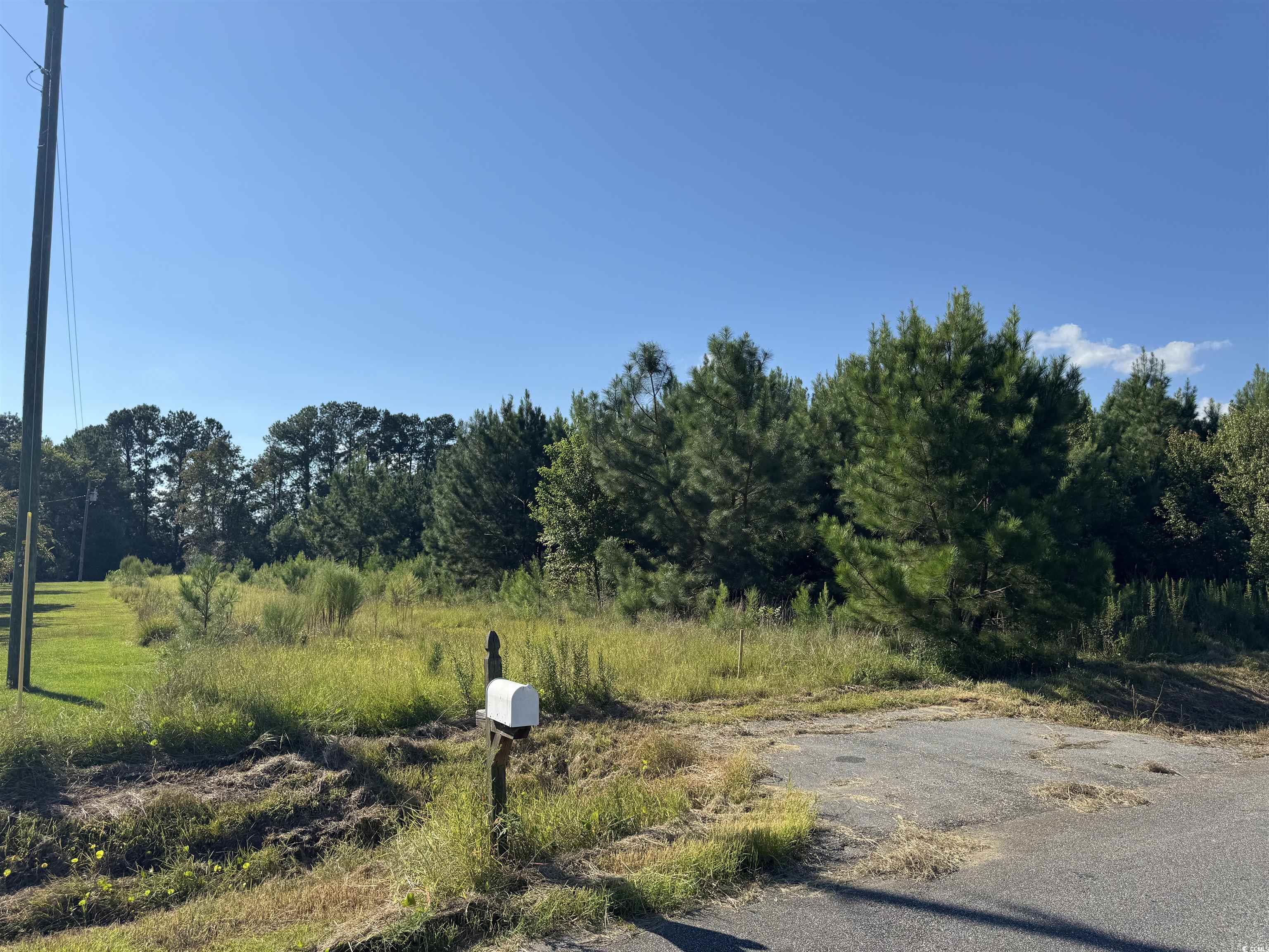 1212 Nursery Road Loris, SC 29569 - Photo 12 of 18