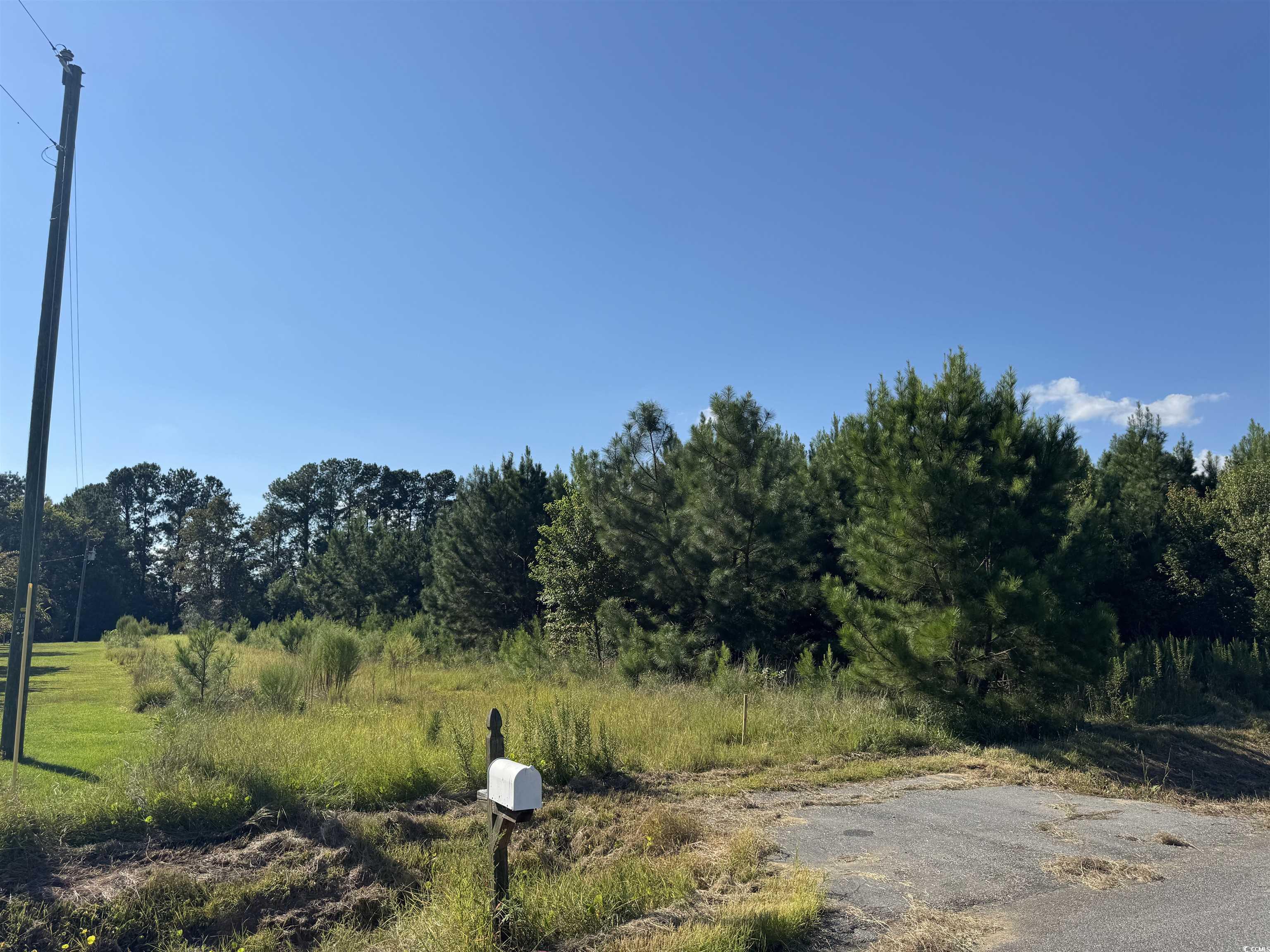 1212 Nursery Road Loris, SC 29569 - Photo 13 of 18