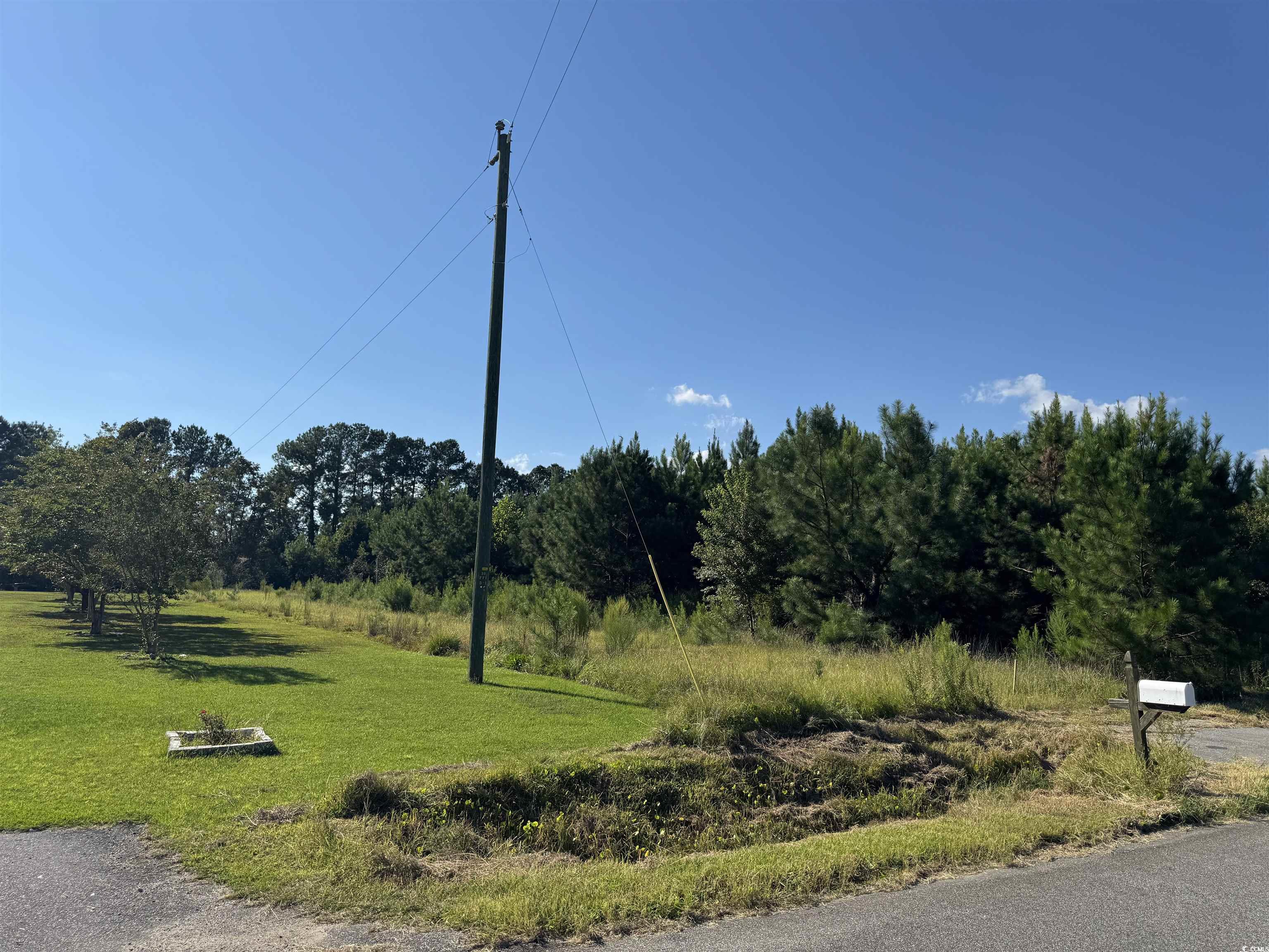 1212 Nursery Road Loris, SC 29569 - Photo 14 of 18