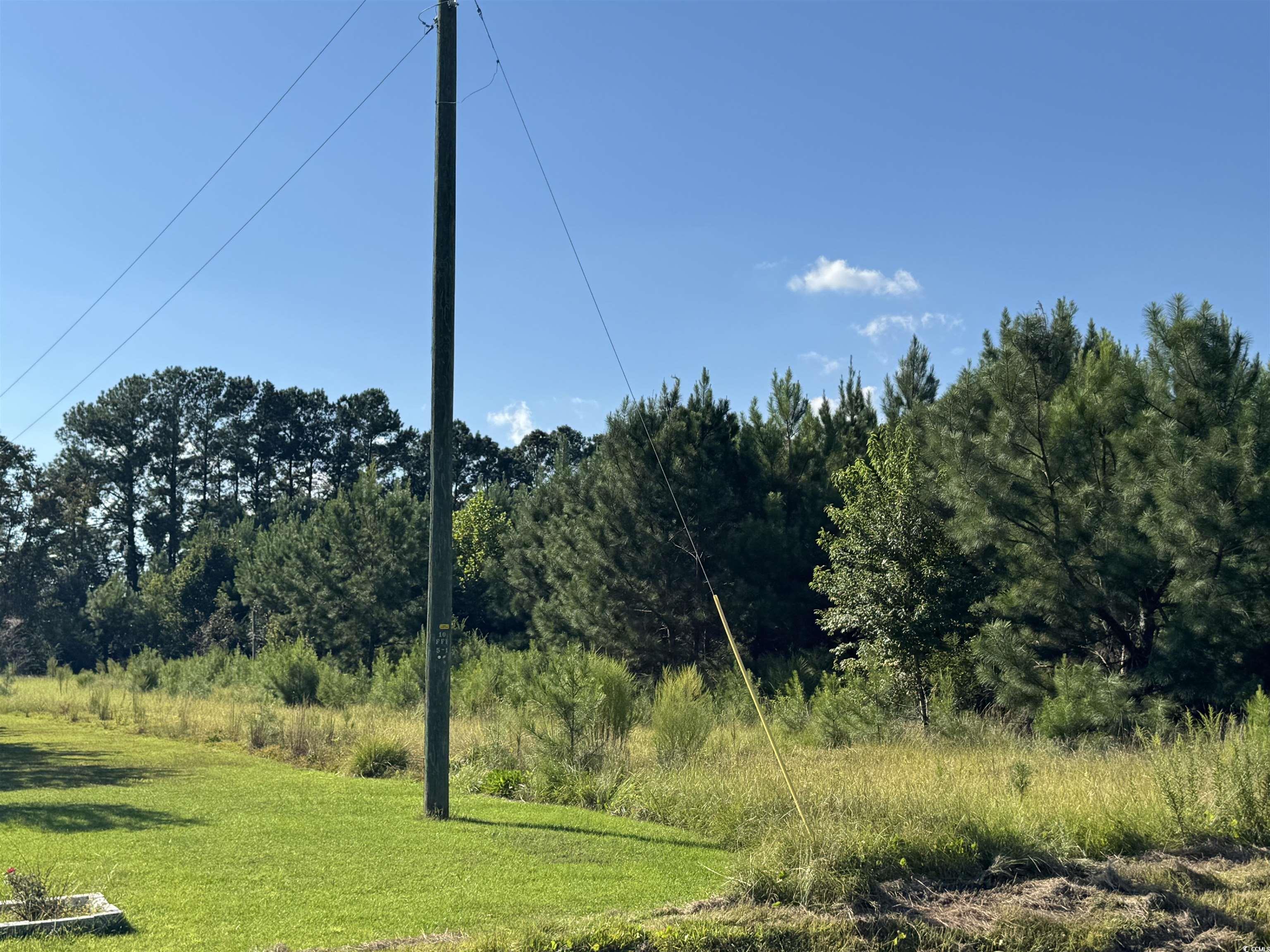 1212 Nursery Road Loris, SC 29569 - Photo 15 of 18