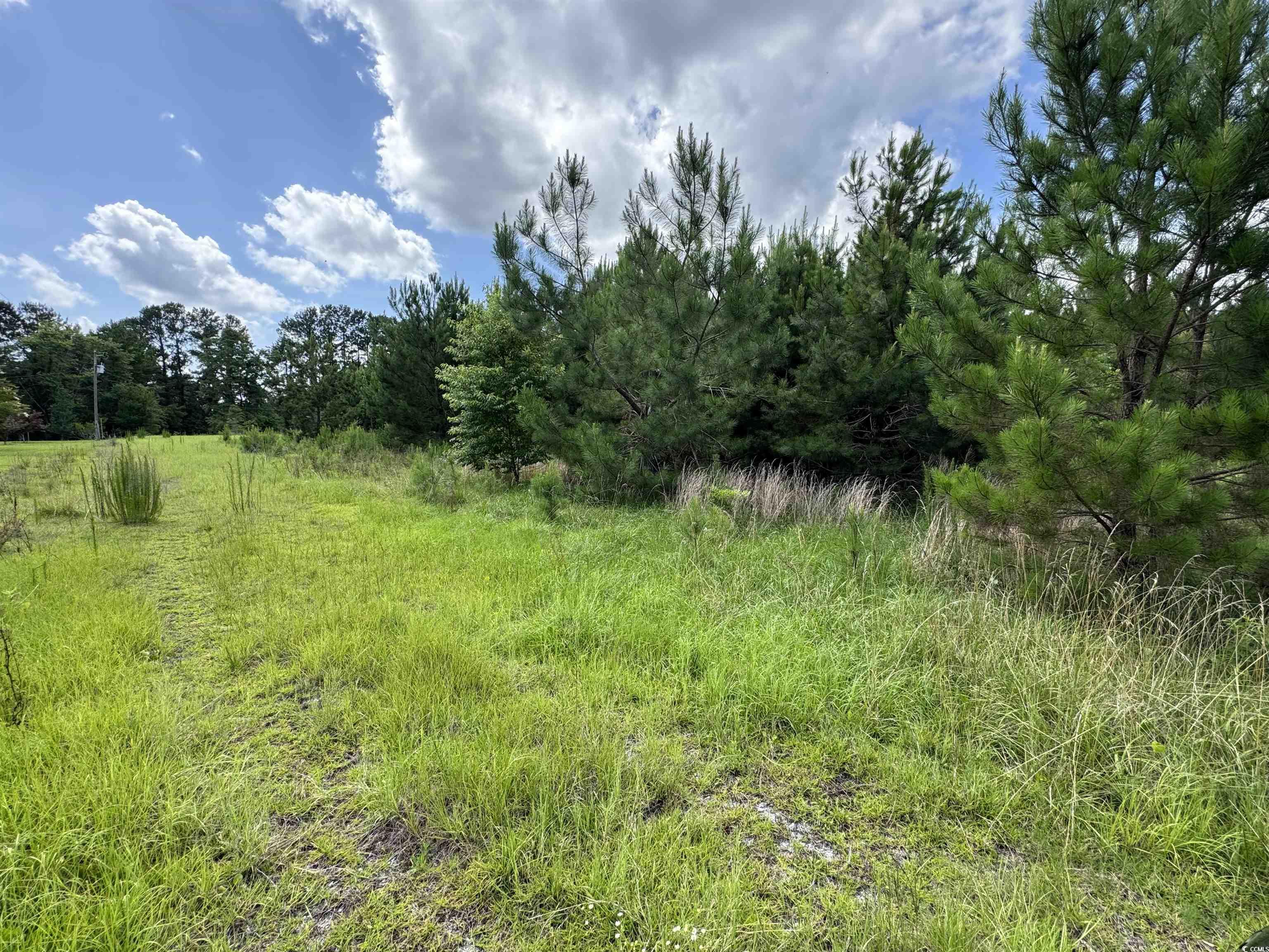 1212 Nursery Road Loris, SC 29569 - Photo 2 of 18