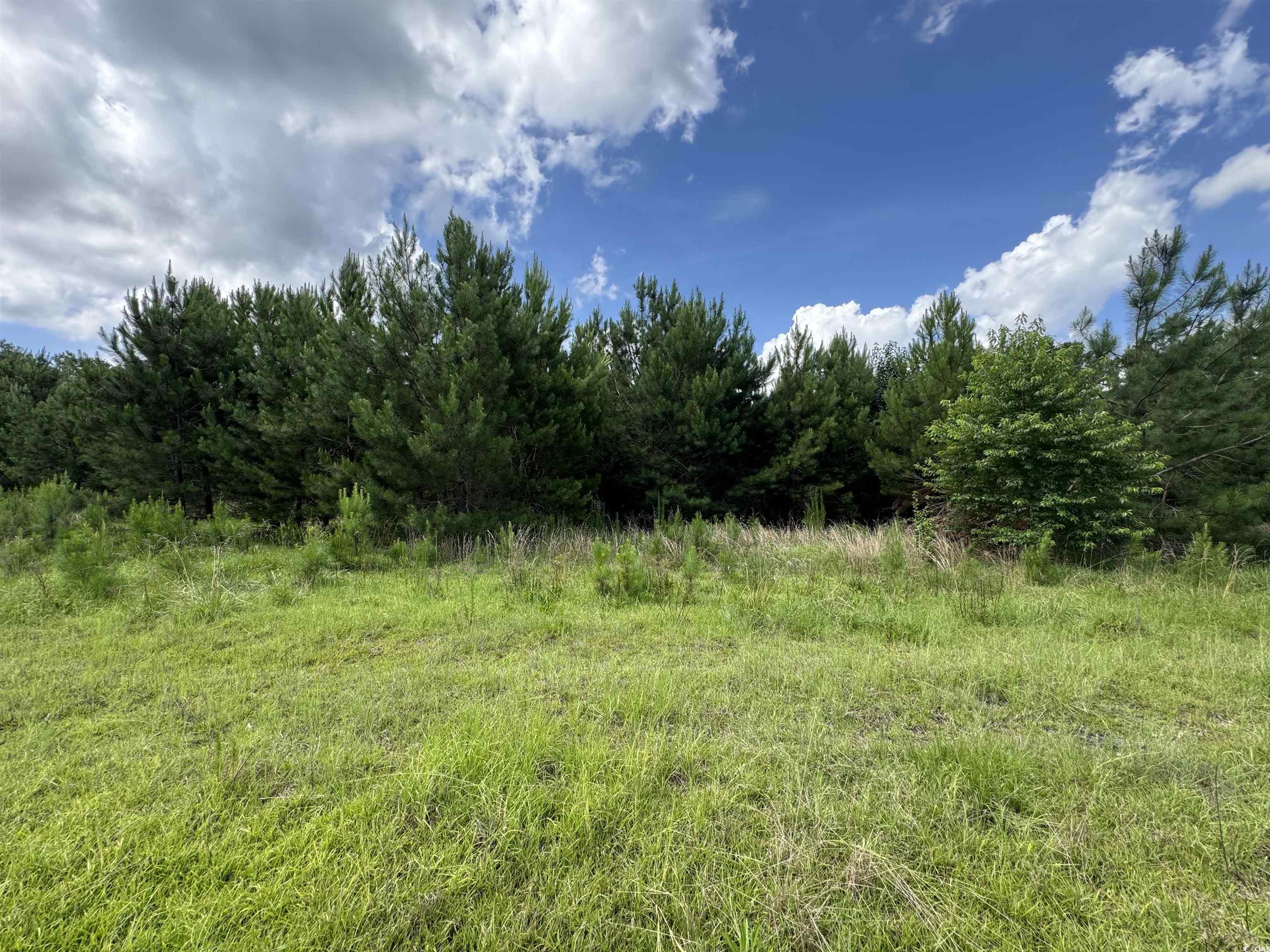 1212 Nursery Road Loris, SC 29569 - Photo 3 of 18