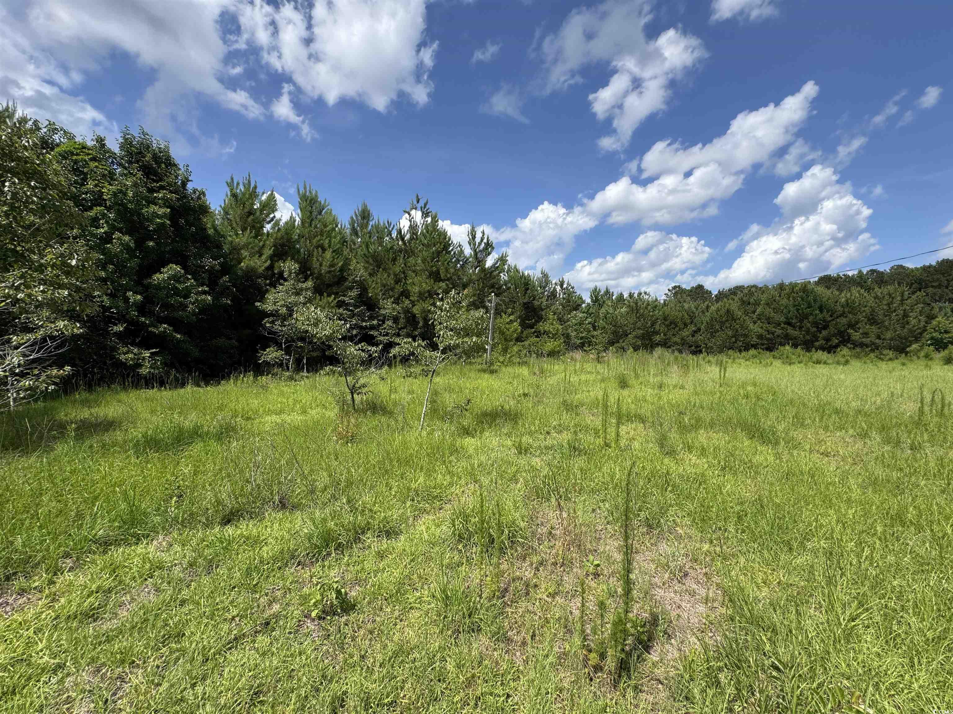1212 Nursery Road Loris, SC 29569 - Photo 4 of 18