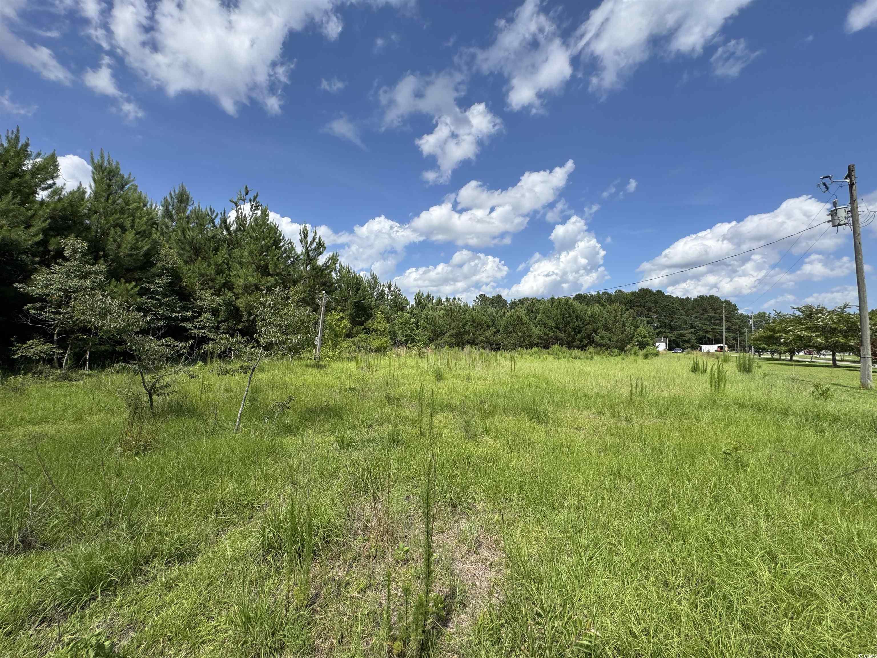 1212 Nursery Road Loris, SC 29569 - Photo 5 of 18